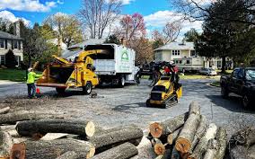 Best Leaf Removal  in Placerville, CA